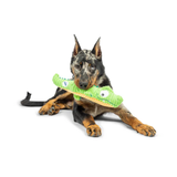 Dog playing with a green toy on a white background