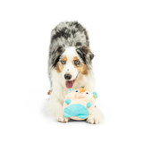 Dog with a blue and white plush toy on a white background