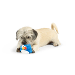 Dog playing with a blue toy on a white background