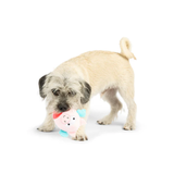 Dog playing with a toy on a white background