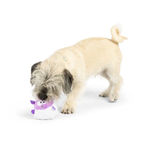 Dog playing with a purple and white toy on a white background