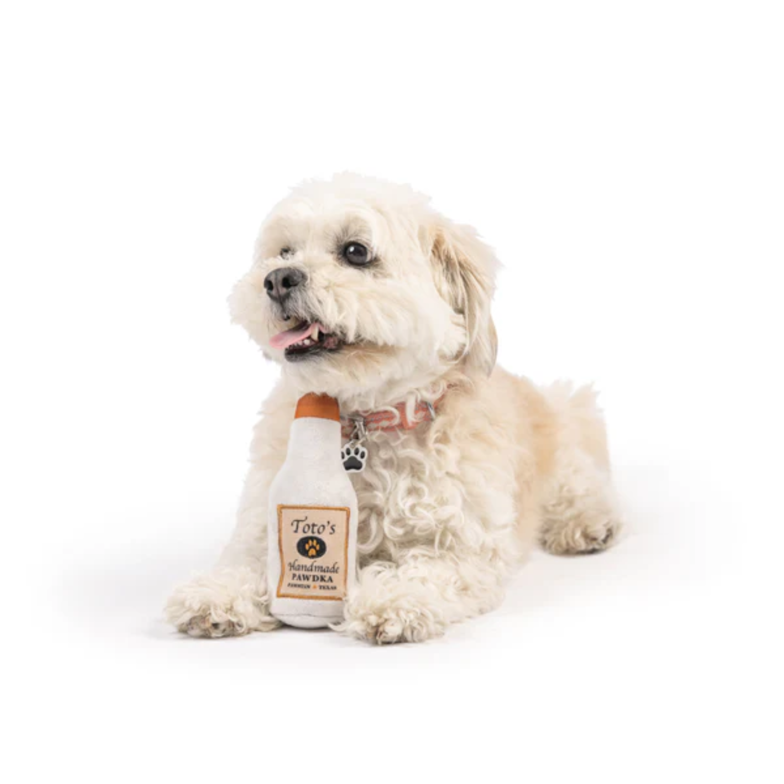Small white dog sitting next to a bottle of Toto's pawdka on a white background