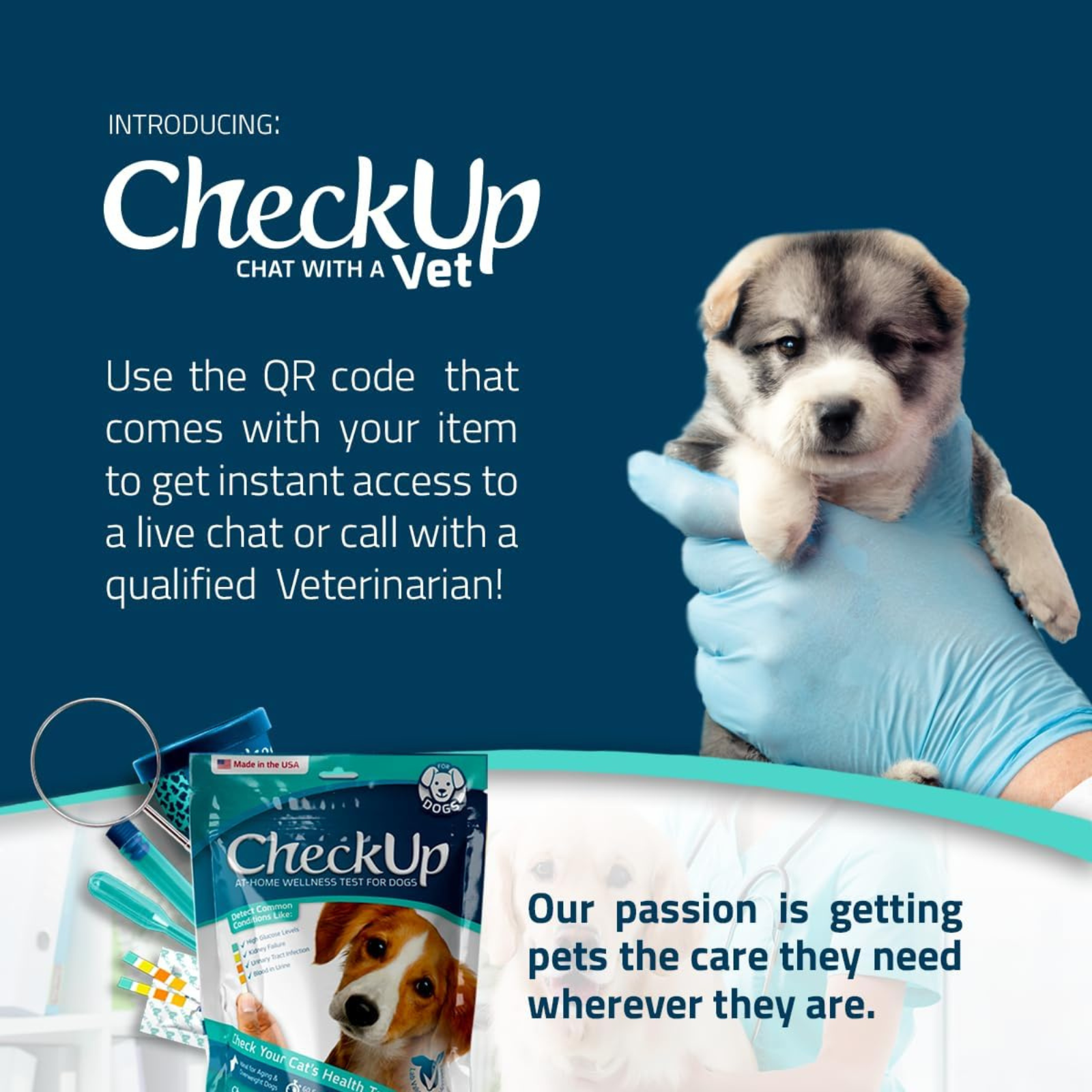 Promotional image for CheckUp veterinary service with a puppy and gloved hand on a blue background