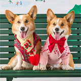 Foggy Dog Cranberry Velvet Lady Dog Bow