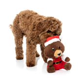 FuzzYard Santa Fuzz Bear Dog Toy