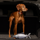 ROCT King Salmon Crinkle & Squeaker Dog Toy