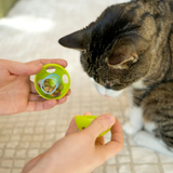 Giddy Kitty Purrkleball Cat Treat Ball