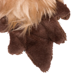 Close-up of a dog's paw with brown paws on a white background