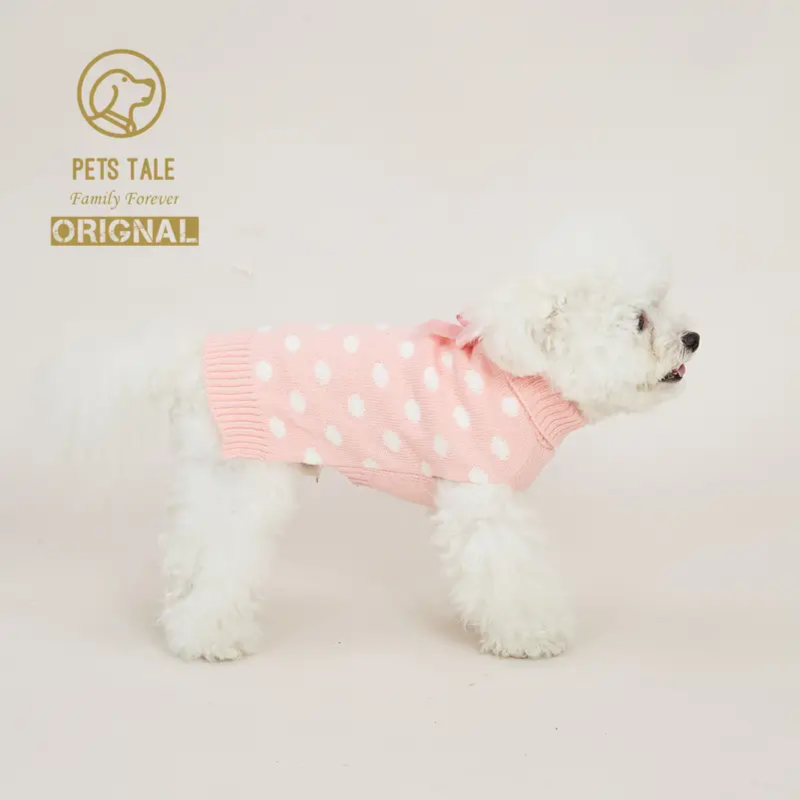 Small white dog wearing a pink polka dot sweater on a light gray background with 'Pets Tale' branding.