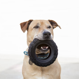 Mammoth Tirebiter II