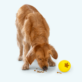 West Paw Rumbl Small