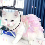 White cat wearing a colorful dress with a close-up of its face.