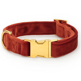 A plush velvet dog collar in a warm rust red color, featuring a polished gold-tone metal buckle and D-ring, shown on a clean white background.