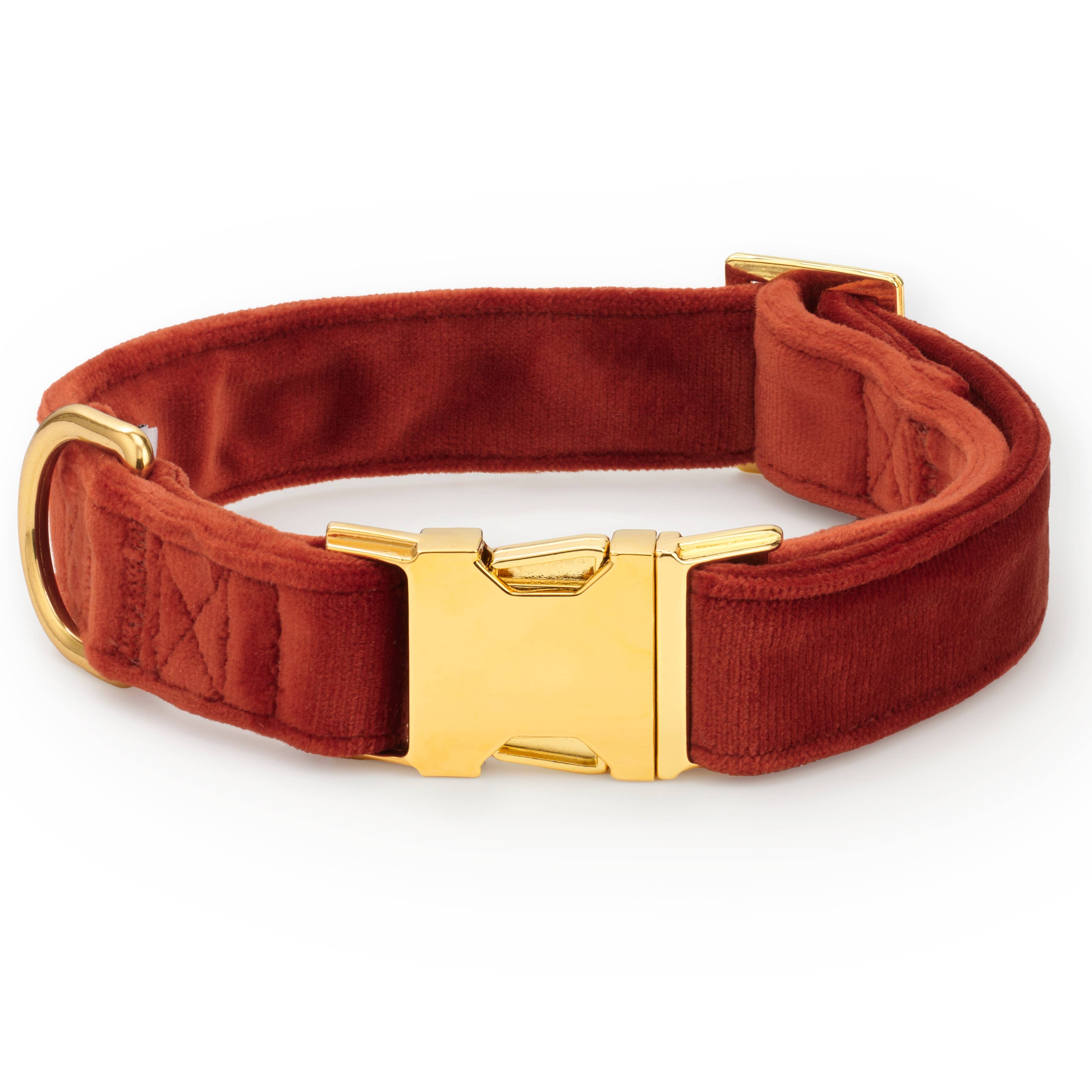 A plush velvet dog collar in a warm rust red color, featuring a polished gold-tone metal buckle and D-ring, shown on a clean white background.