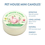 Pet House Mini Candle with bamboo watermint scent on a white background