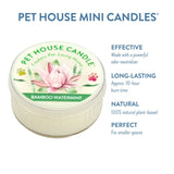Pet House Mini Candle with bamboo watermint scent on a white background