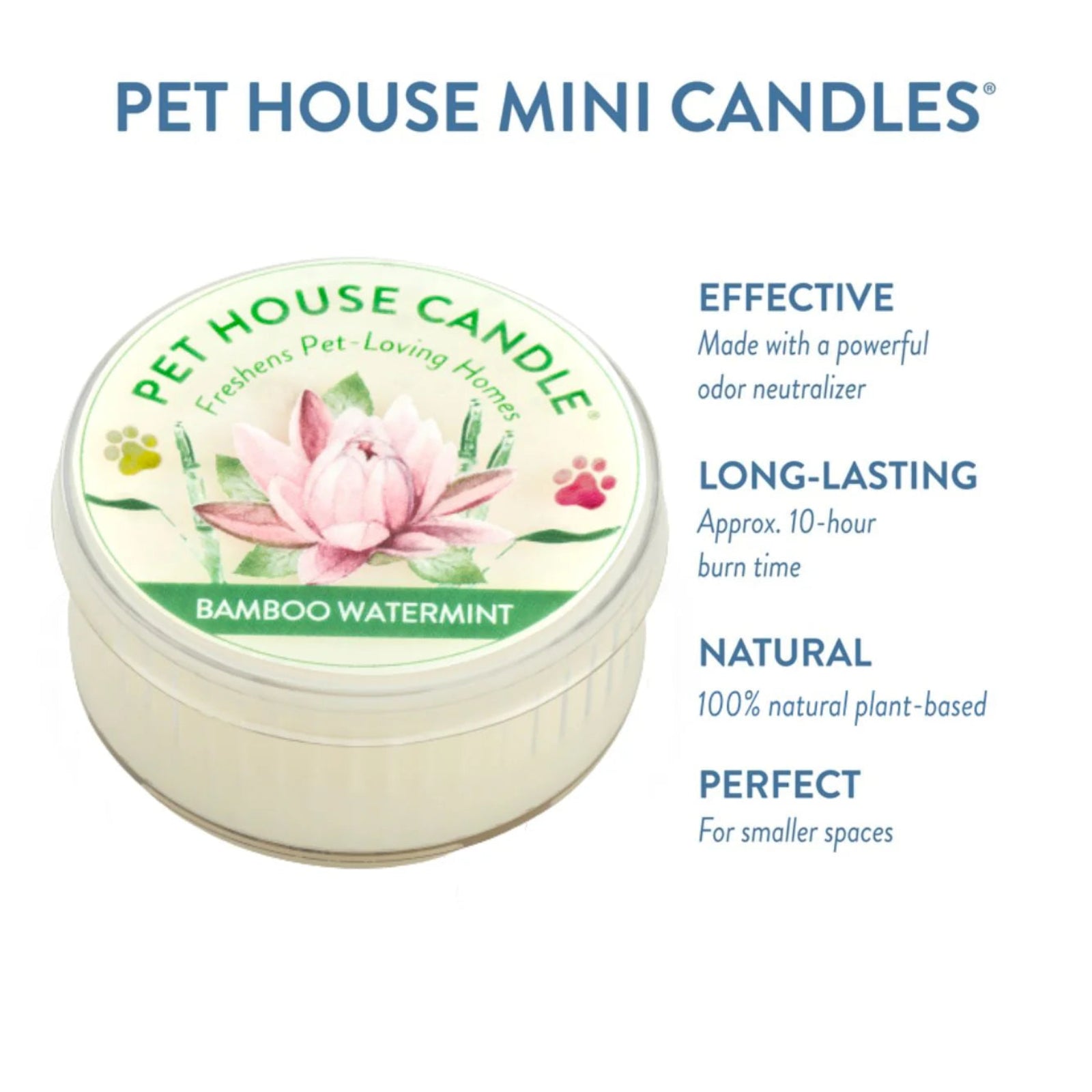 Pet House Mini Candle with bamboo watermint scent on a white background