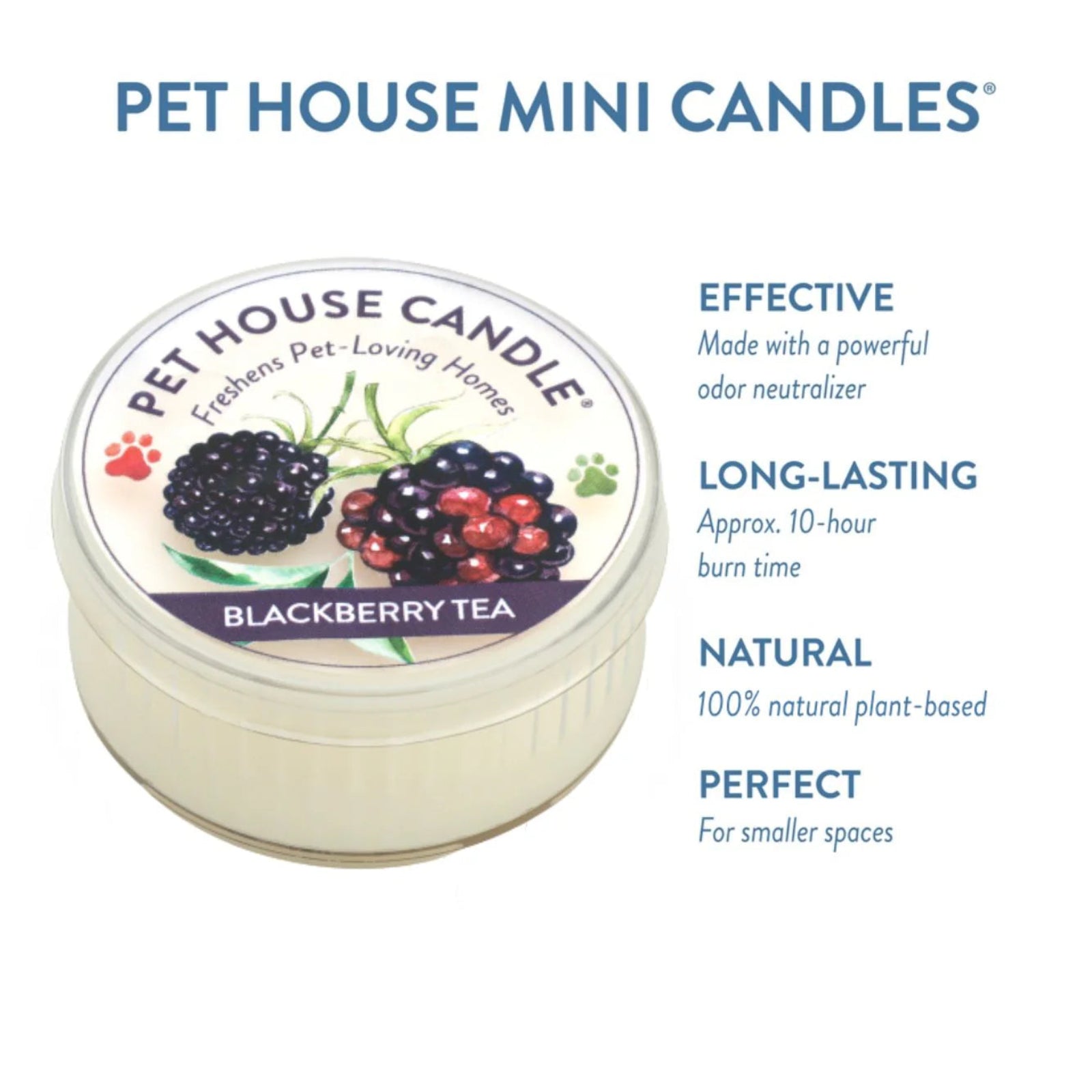 Pet House Candle container with blackberries on a white background