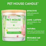 Pet House Candle with bamboo watermint scent on a green background