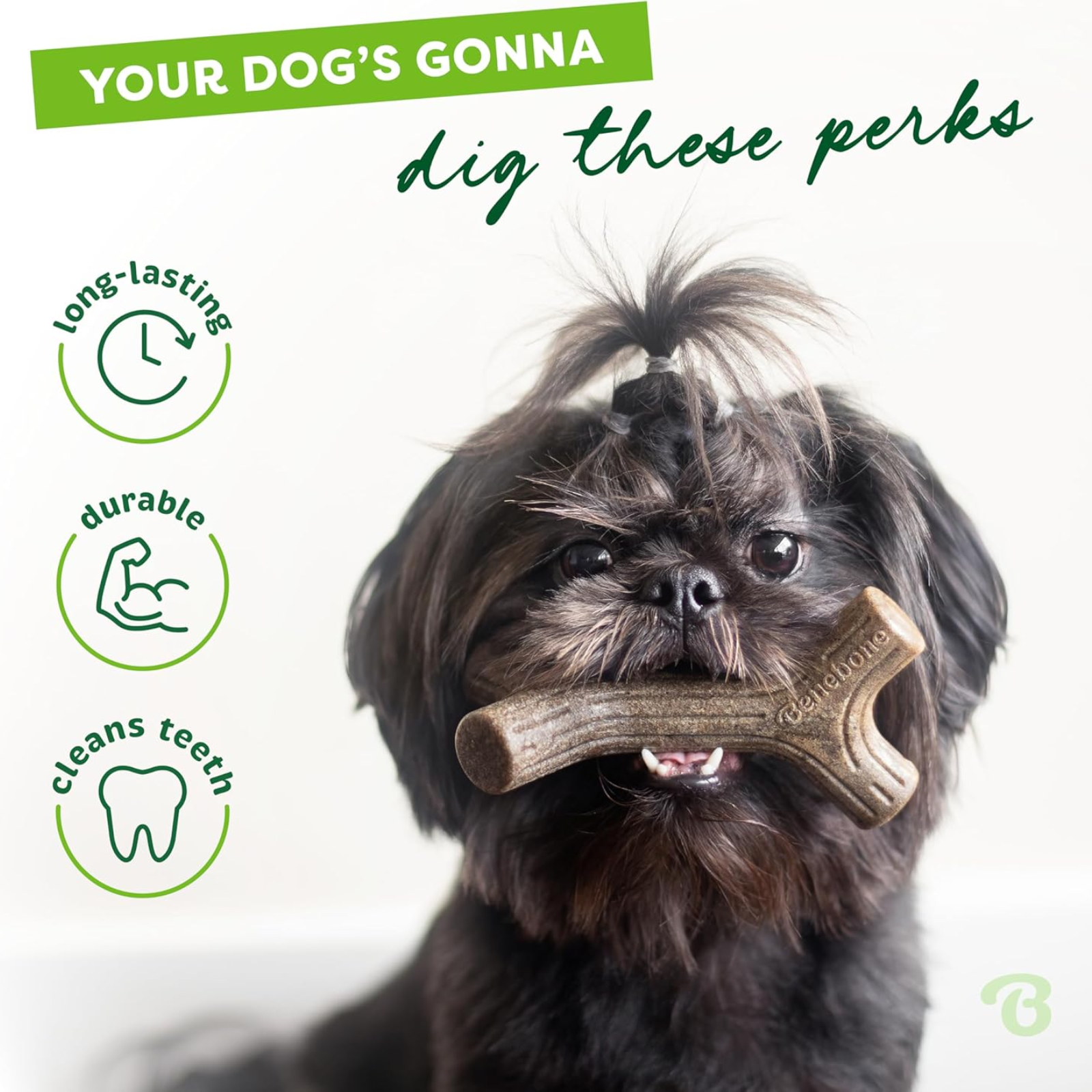 Dog holding a bone-shaped chew toy with text and icons about the product's benefits on a white background.