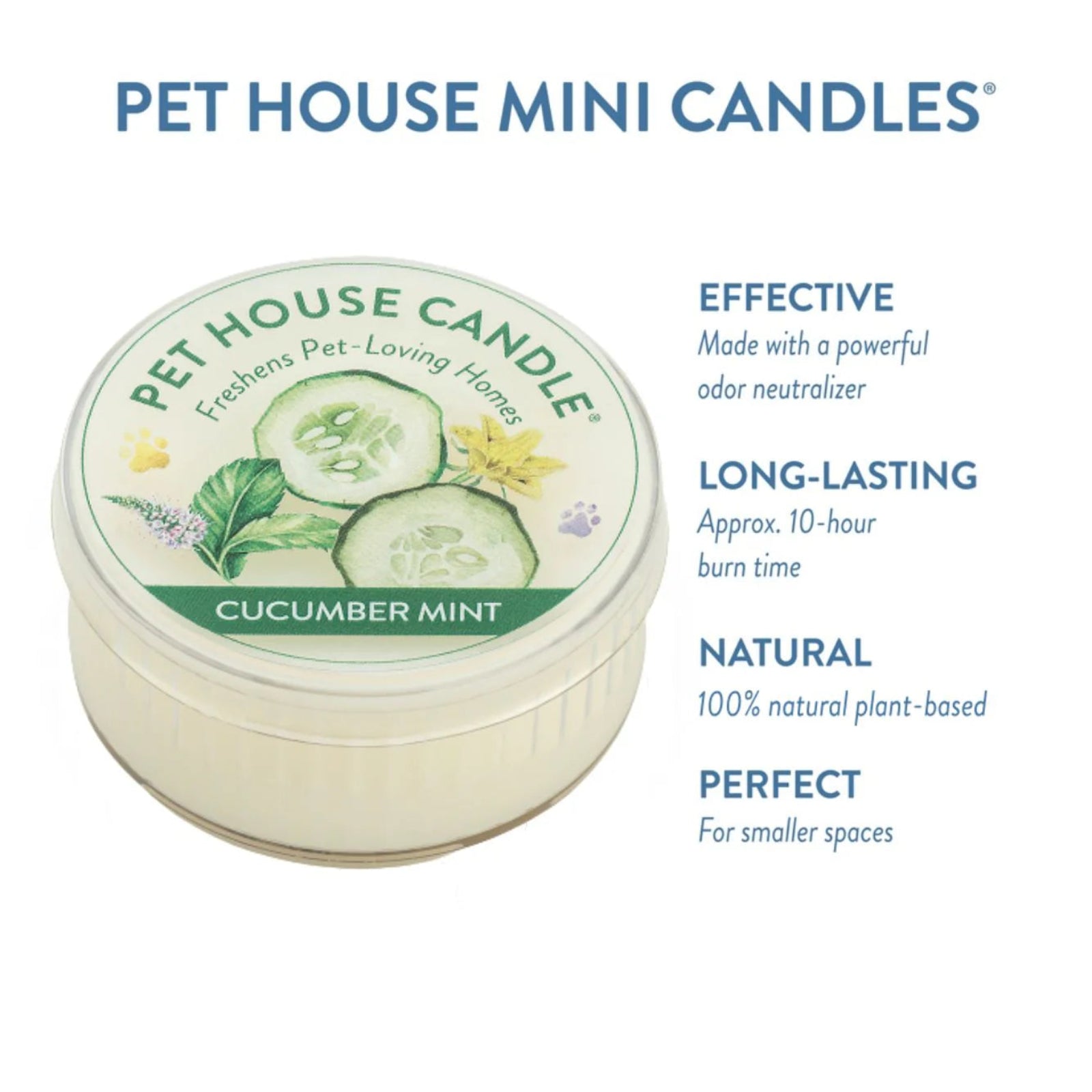 Pet House Candle with cucumber mint flavor on a white background