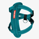 EzyDog Chest Plate Harness Teal