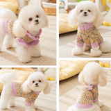 Small white dog wearing a colorful outfit with floral patterns on a soft surface.