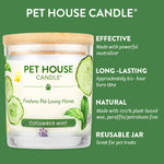 Pet House Candle with cucumber mint scent on a green background