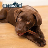 Dogginstix Standard Bully Sticks 6in