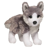Plush toy husky on a white background