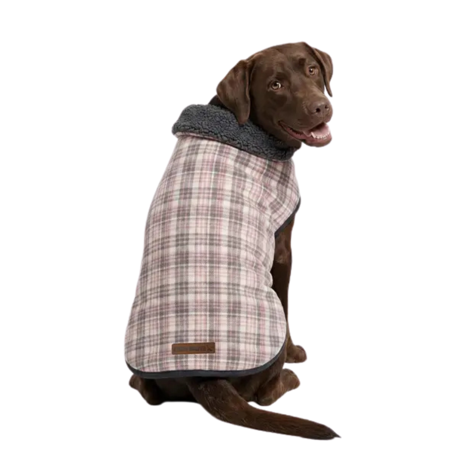 A brown dog wearing a plaid dog coat with a dark gray fleece collar, shown from the side against a plain white background.