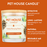 Pet House Candle with Evergreen Forest scent on an orange background