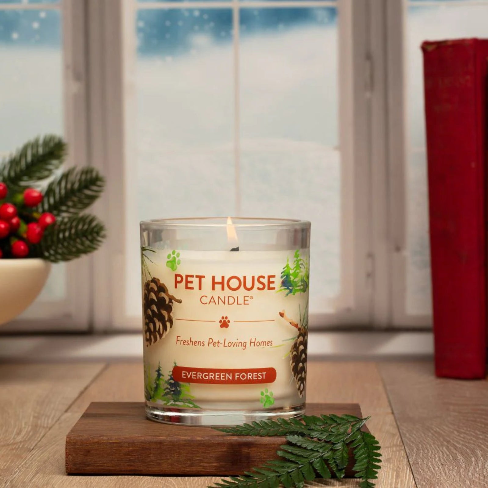 Pet House Candle labeled 'Evergreen Forest' on a wooden surface with books and a decorative bowl in the background.