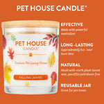 Pet House Candle with fall leaf design on an orange background