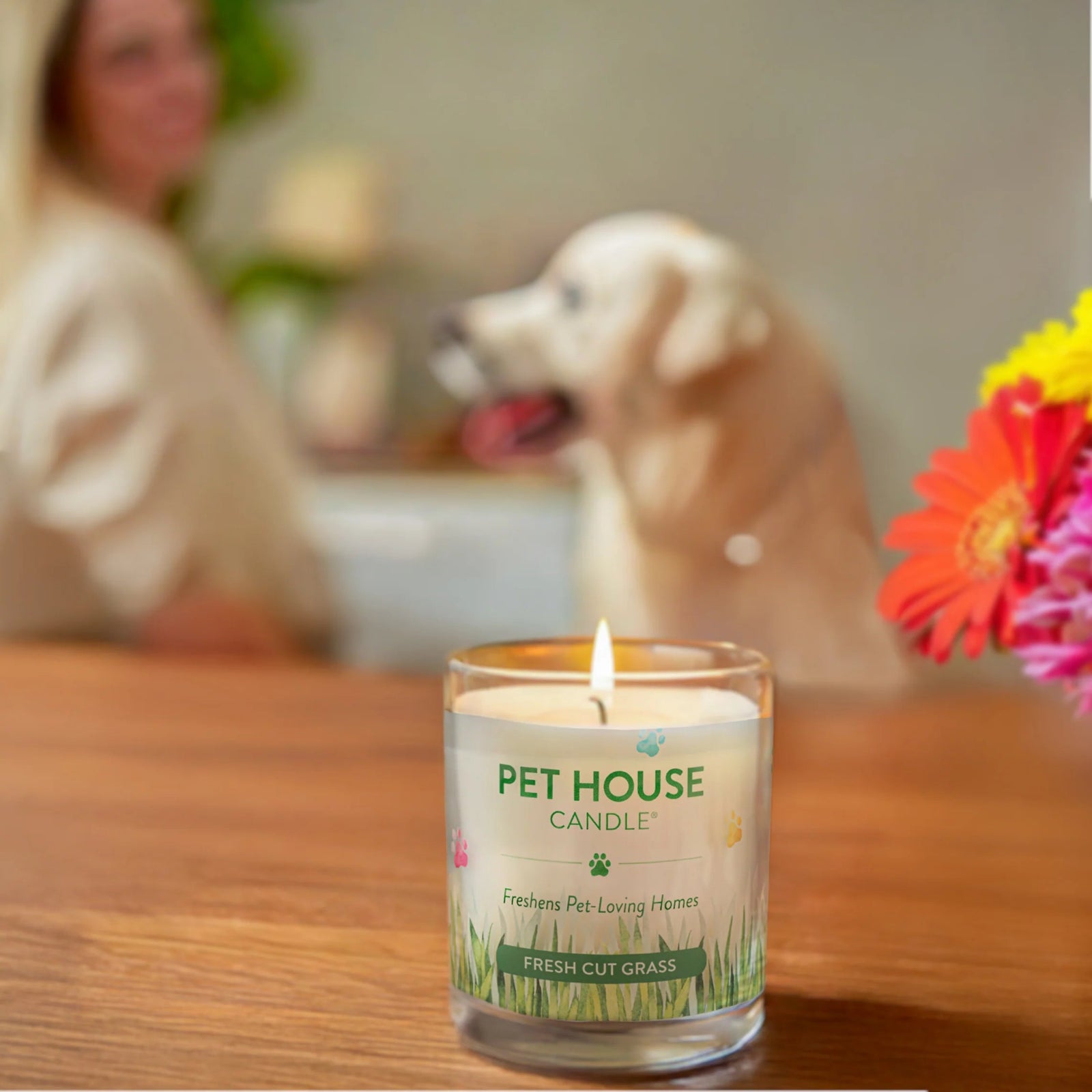 Pet House Candle on a table with a dog and person in the background