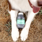 Dog lying on grass with a bottle of Green Juul supplement between its paws.