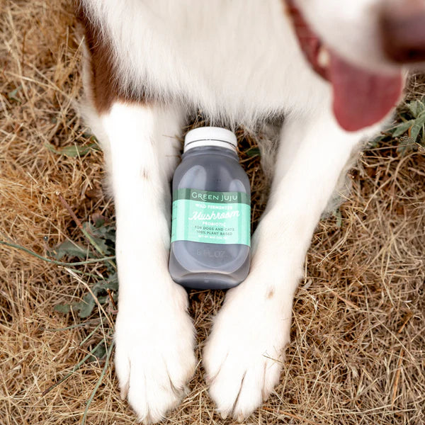 Dog lying on grass with a bottle of Green Juul supplement between its paws.