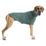 Dog wearing a green knitted sweater on a white background