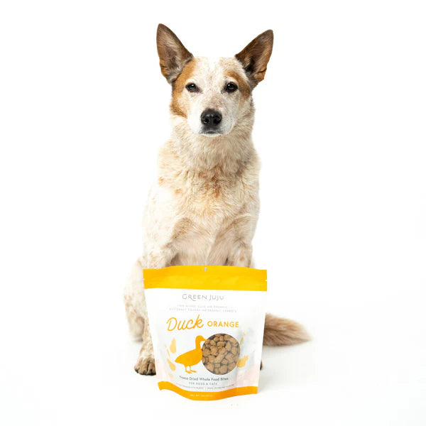 Dog sitting next to a bag of Green Juju Duck Orange dog food on a white background