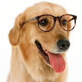 Nutrition Session In The Afternoon