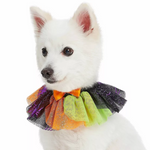 White dog wearing a colorful Halloween-themed pet dress on a white background