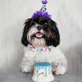 Huxley & Kent Party Hat Happy Barkday