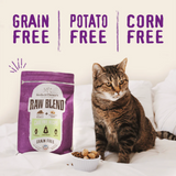Stella & Chewy's Cat Raw Blend Poultry