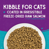 Stella & Chewy's Cat Raw Coated Salmon