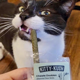 Kitty Kush Chewie Doobies Silvervine Chew Sticks