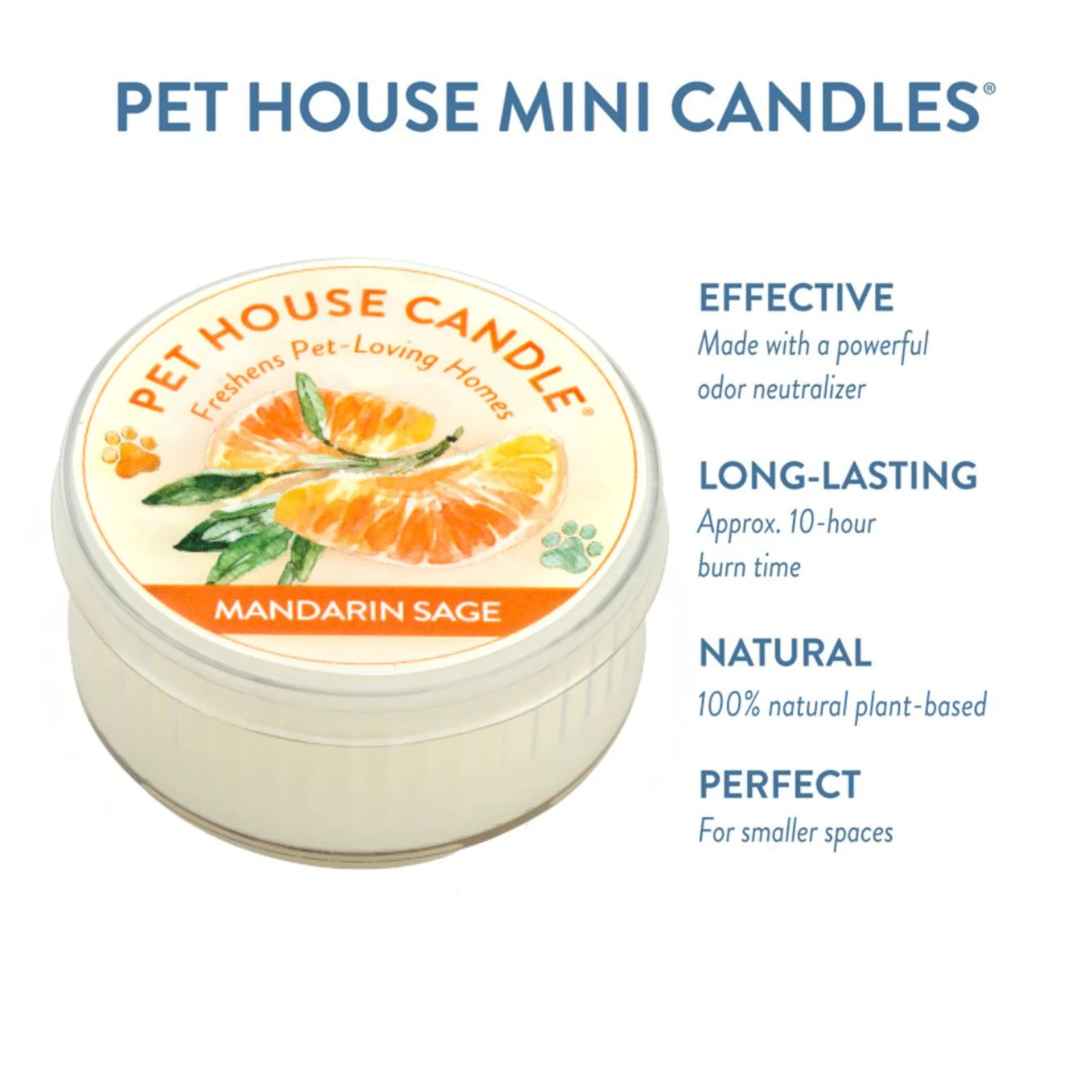 Pet House Candle with Mandarin Sage flavor on a white background