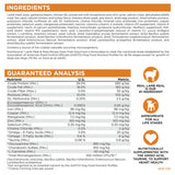NutriSource Grain Free Lamb Dog