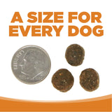 NutriSource Grain Free Lamb Dog