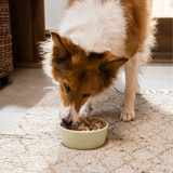 Open Farm Goodbowl Freeze Dried Beef Morsels