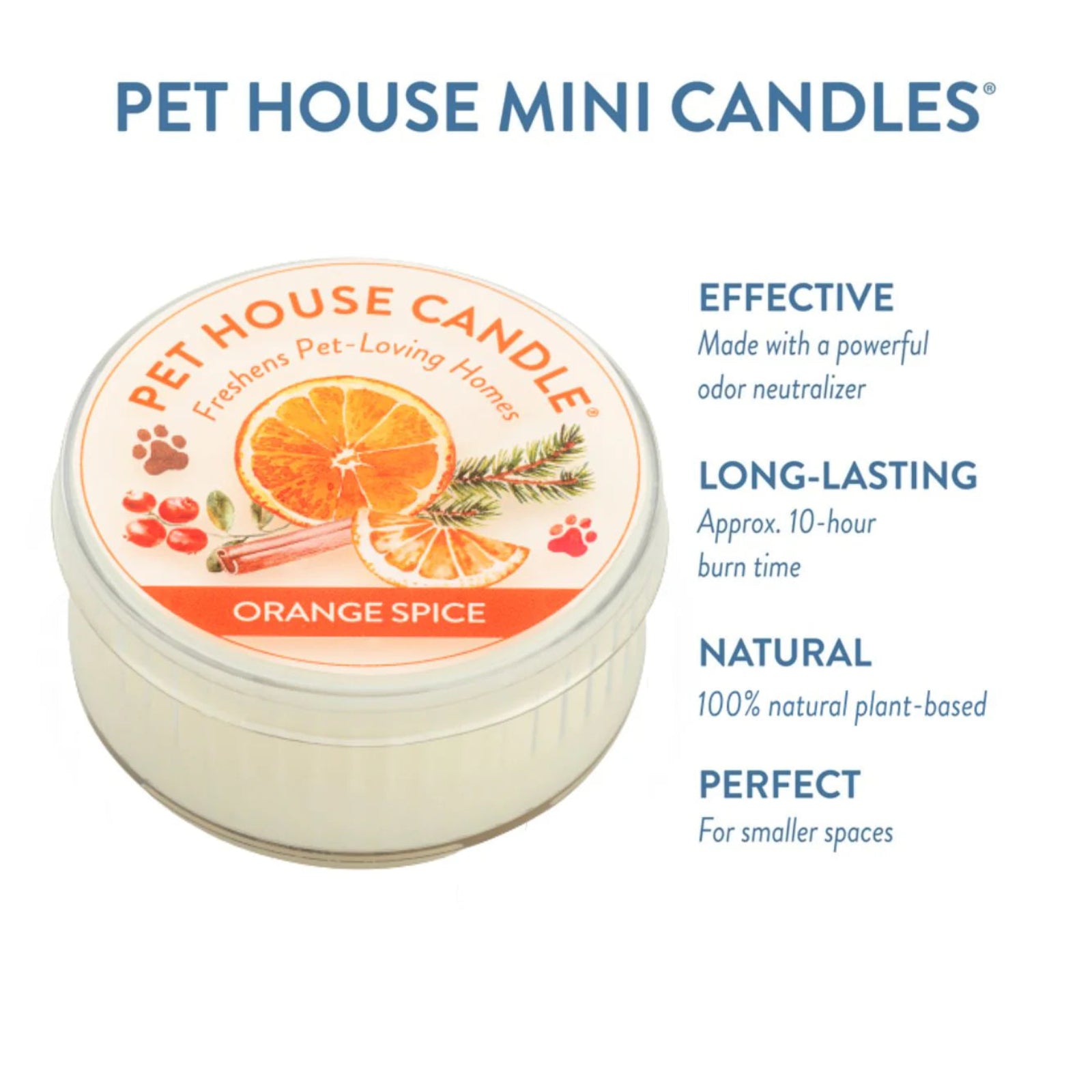Pet House Candle with orange spice flavor on a white background